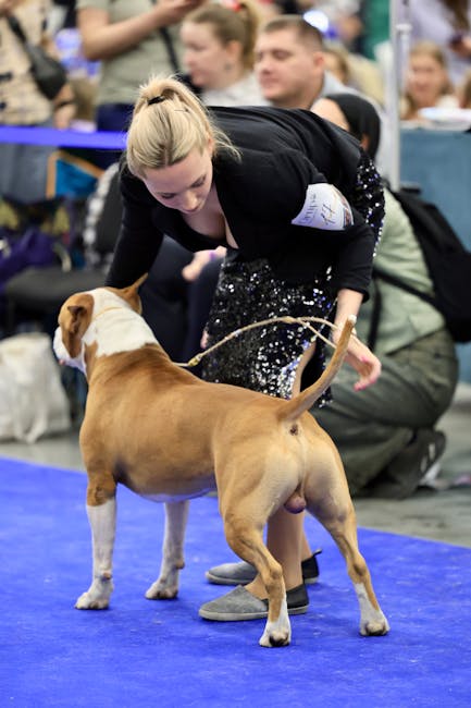 Descoperă cei mai străluciți câini de la Dracula Dog Show