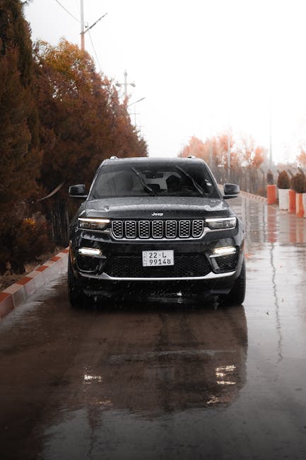 Cifrele anului 2025: Permise de conducere și autovehicule în județul Alba