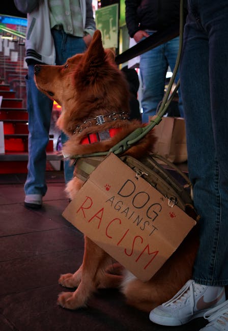 Protest pentru drepturile animalelor la Cluj: Oameni și câini cer justiție
