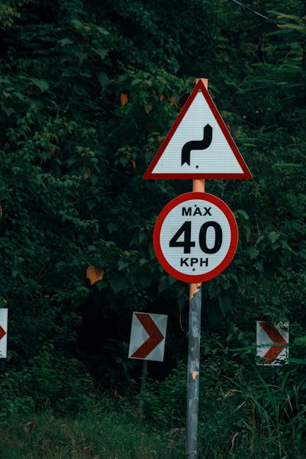 Restricții de circulație din cauza caniculei: ce trebuie să știe șoferii