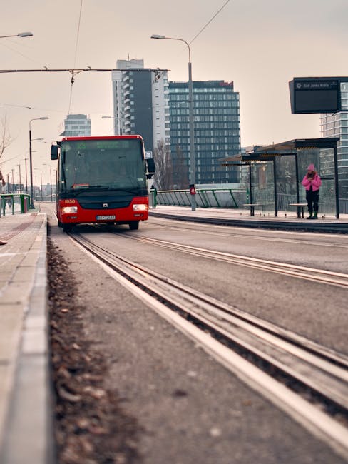 Călărași: Stațiile de autobuz beneficiază de curățenie permanentă, conform primarului
