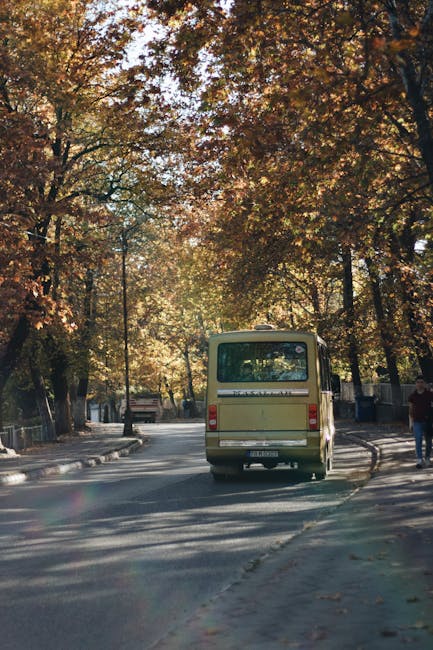 Modificări temporare pe linia 42 din Constanța: autobuzele întorc la Poarta 1