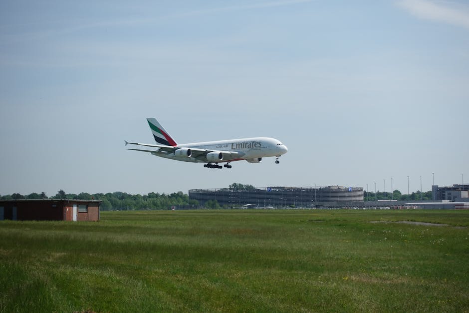 Incident pe aeroportul Otopeni: avion cu 228 de pasageri revine după ce a lovit păsări
