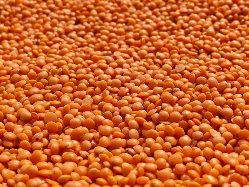 Ghidul alimentației sănătoase în Postul Paștelui: alternative nutritive