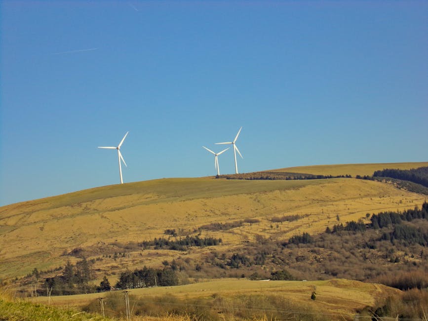 Buteni investește 584.000 de euro în energie verde: un proiect european ambițios