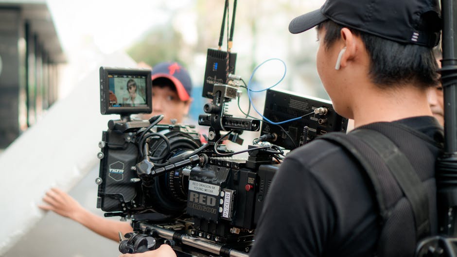 Celebrating 15 years of cinema: special screenings and filmmaker encounters in Timișoara
