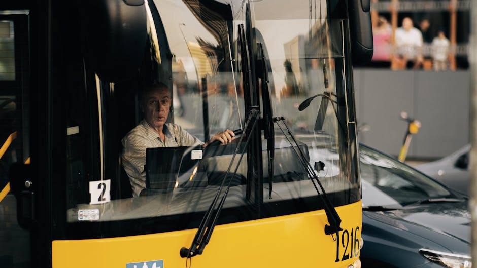 Siguranța în transportul public din Satu Mare: apelul șoferilor pentru respect și atenție