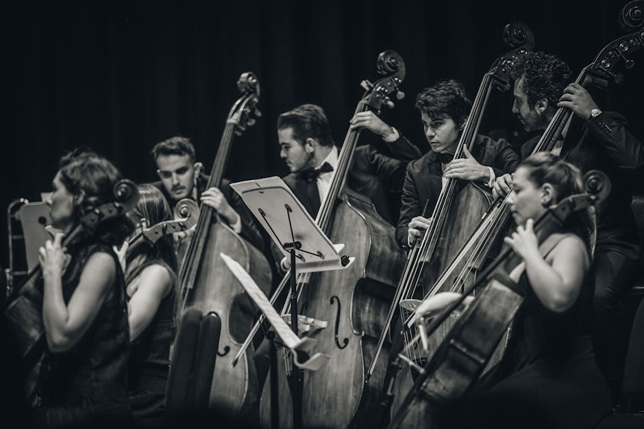 Un spectacol inedit: Orchestra Simfonică București aduce Vivaldi în stil rock la Târgu Jiu