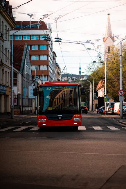 Linia 42 își reia traseul obișnuit spre Portul Tomis
