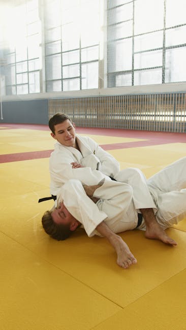 România aduce la Sarajevo o echipă de 32 de veterani în judo