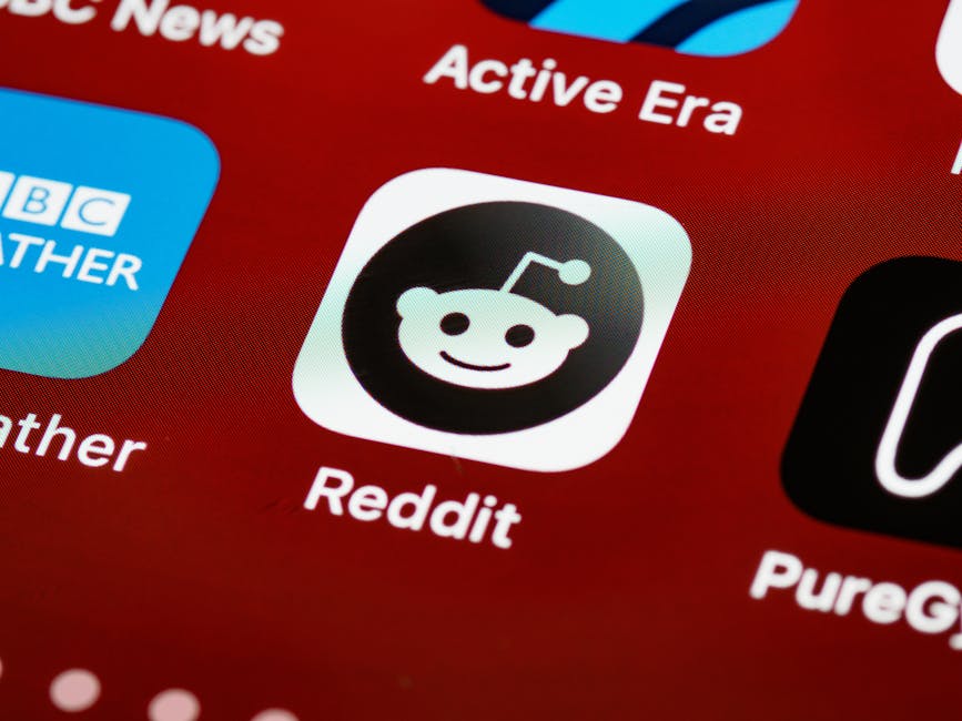 Reddit sancționată cu 16 milioane de euro pentru gestionarea necorespunzătoare a datelor copiilor