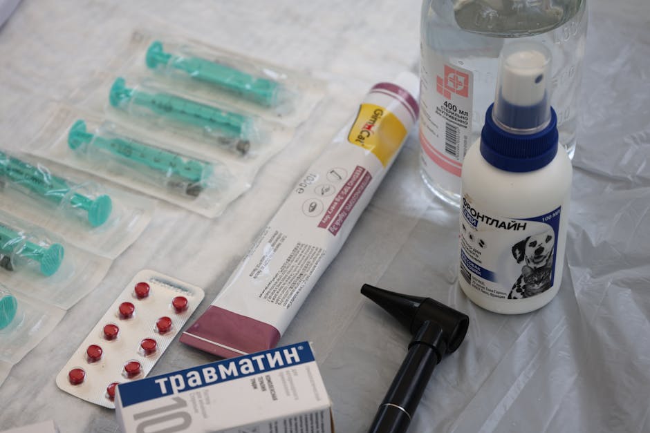 Examenul de specialitate pentru medici și farmacisti în Oradea: detalii esențiale