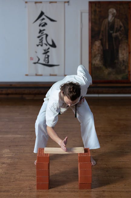 Ionuț Munteanu și Andrei Zagoneanu, la un stagiu de karate Shito Ryu de excepție