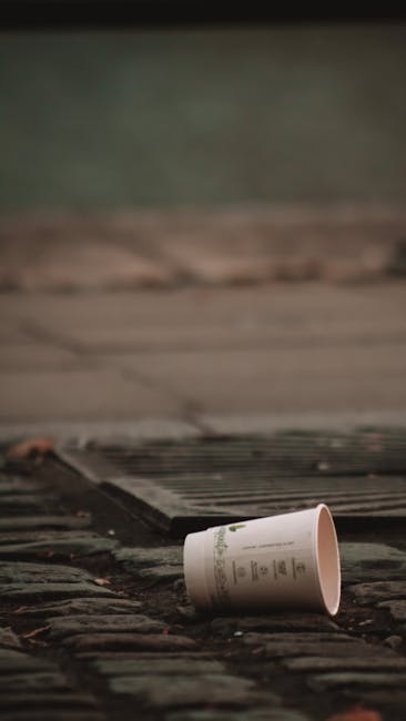 Ploieștiul se confruntă cu o criză a deșeurilor abandonate: soluții urgente solicitate