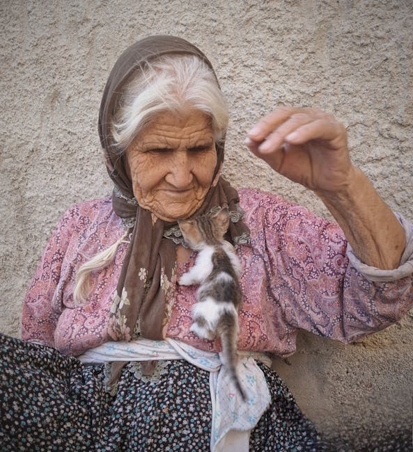 Descoperă vârsta reală a pisicii tale: cum se compară cu anii umani