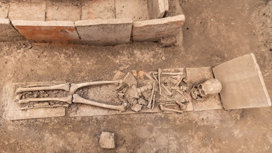Descoperiri fascinante: Morminte vechi de 3.000 de ani găsite în Iași