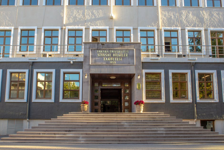 Înscrierea la facultatea de științe politice, litere și comunicare: tot ce trebuie să știi pentru septembrie