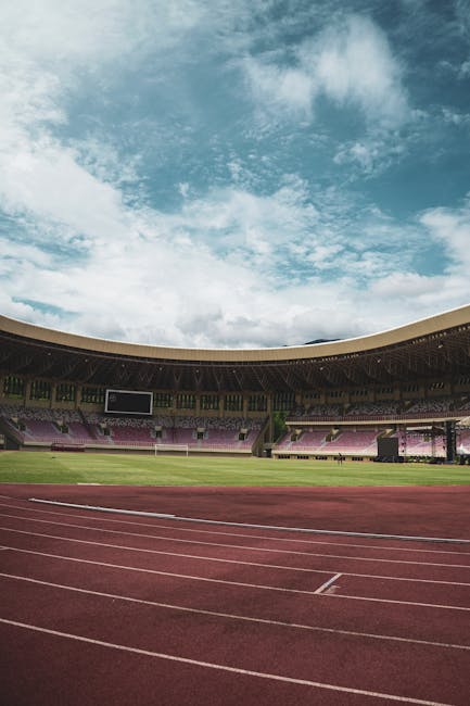 Stadionul „Bölöni László”: Transformarea controversată a gazonului