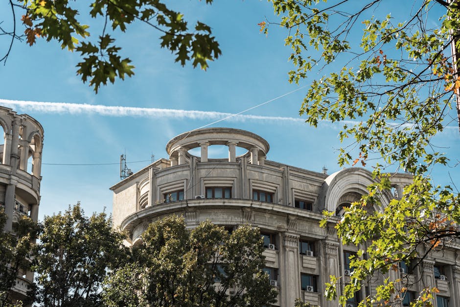 Cum putea Focșaniul să strălucească mai mult: o poveste despre oportunități pierdute