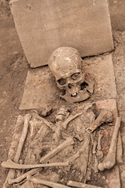 Descoperiri arheologice fascinante pe traseul căii ferate Caransebeș-Lugoj