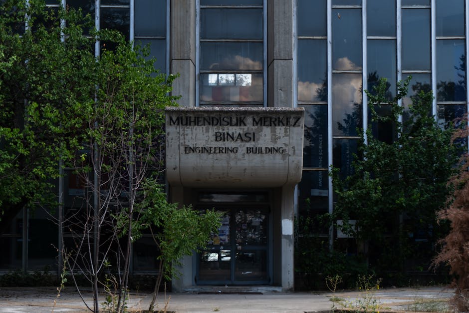 Universitatea din Petroșani își propune să atragă studenți și să dezvolte proiecte de cercetare