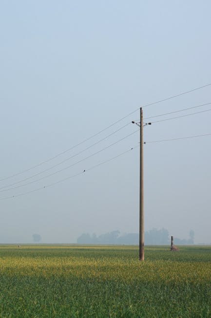 Maxagro își extinde influența în agricultură printr-o campanie de achiziție de terenuri în Banat