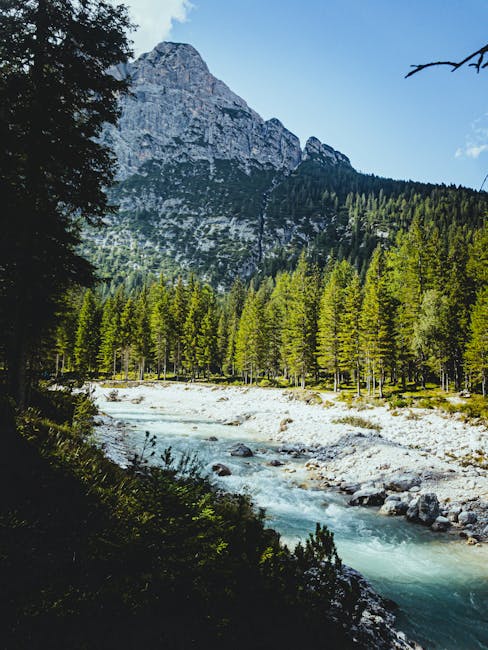 Descoperiți Cascada Cociu, comorile ascunse ale Parcului Național Domogled