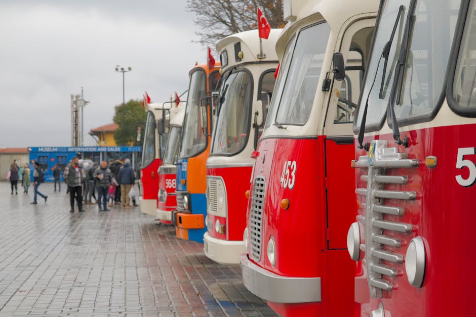 Autobuzele circulă noaptea la festivalul Astra: detalii esențiale pentru participanți