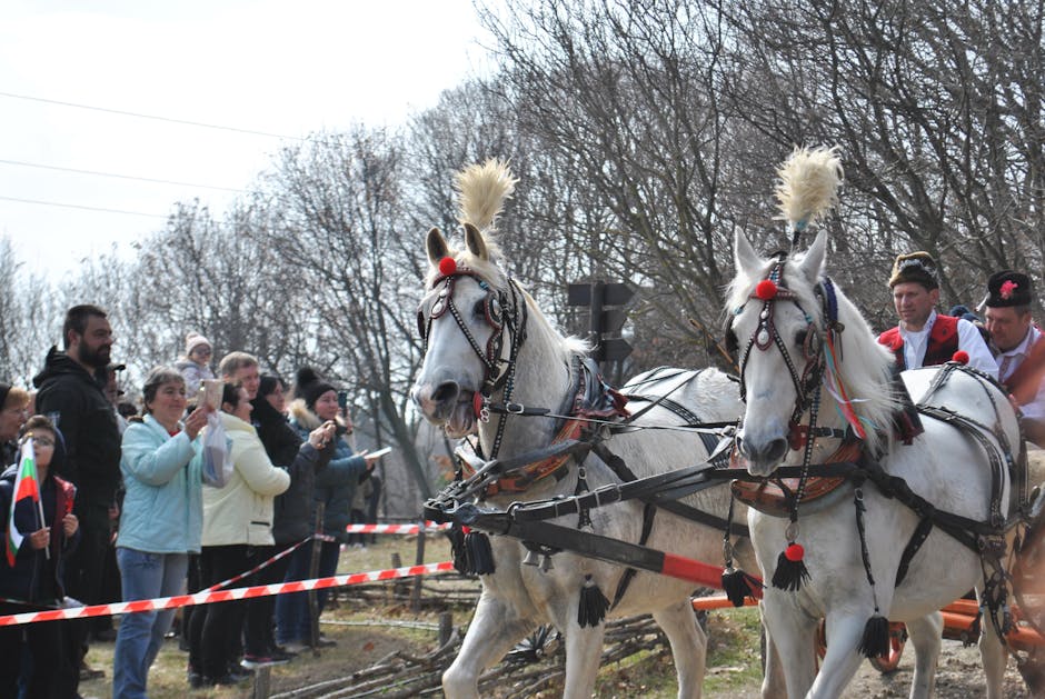 Sărbătoarea Castanelor: un festival pregătit cu măsuri stricte de siguranță și curățenie