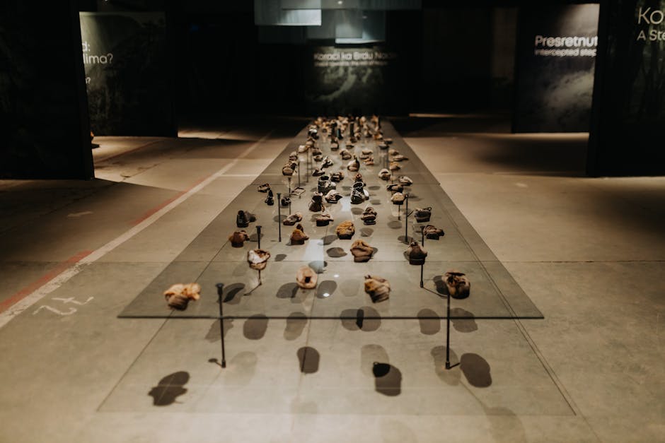 Descoperă expoziția captivantă despre memoria apei și pietrei la Timișoara