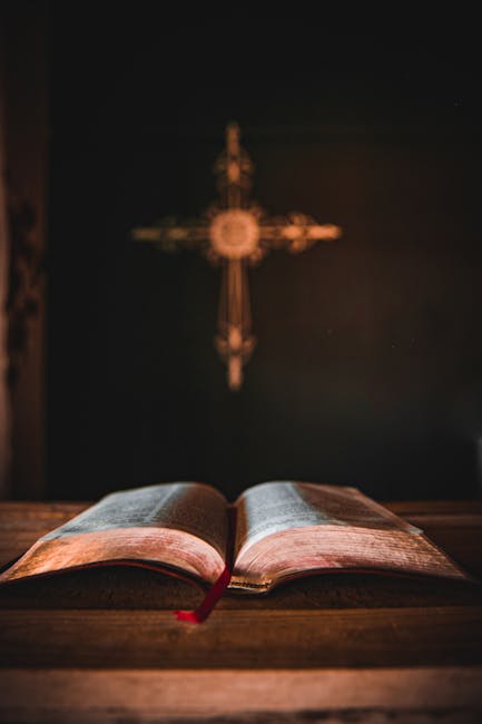 O conferință captivantă despre Noul Testament la Bistrița