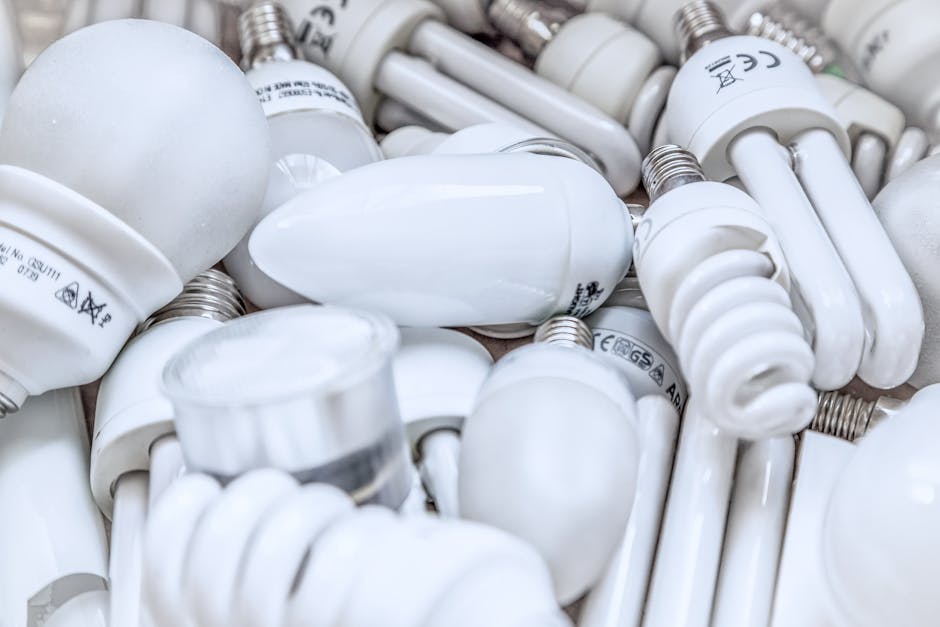 Fetești investește 20 milioane lei în eficiența energetică a școlilor și grădinițelor
