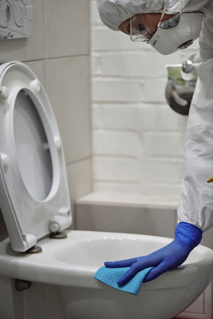 Transformă-ți primăvara cu serviciile de curățenie profesională Eliezer Cleaning în Satu Mare