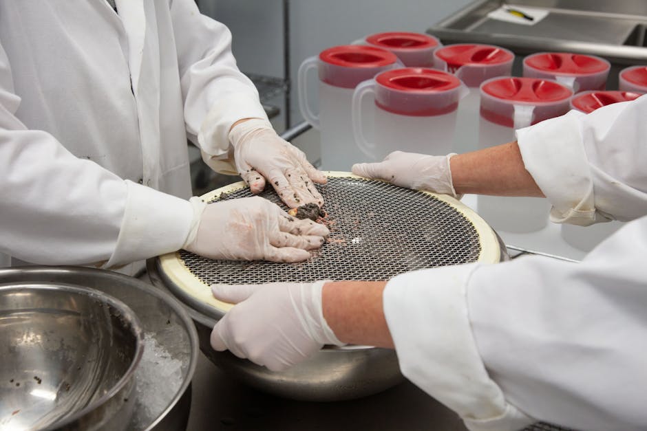 Revoluția siguranței alimentare în România: IISPV adoptă noi standarde internaționale