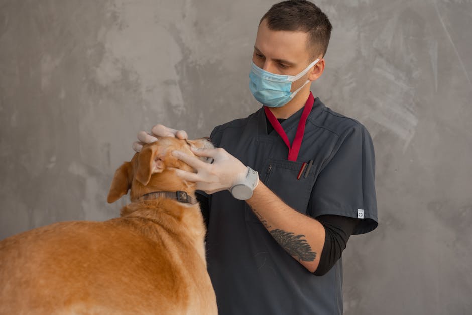 Primăvara sănătății: profitați de controalele medicale la Clinica Bîrsășteanu