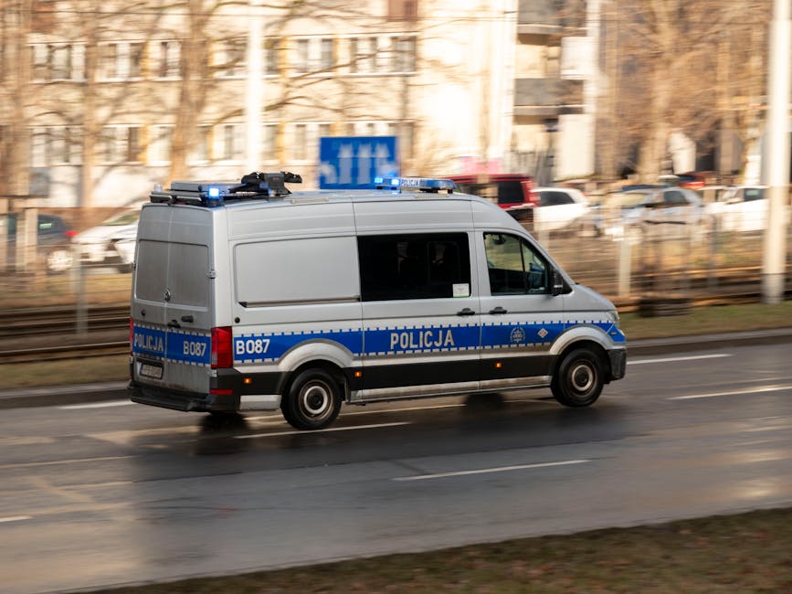 Bărbat din Gorj, dosar penal după încălcarea ordinului de protecție