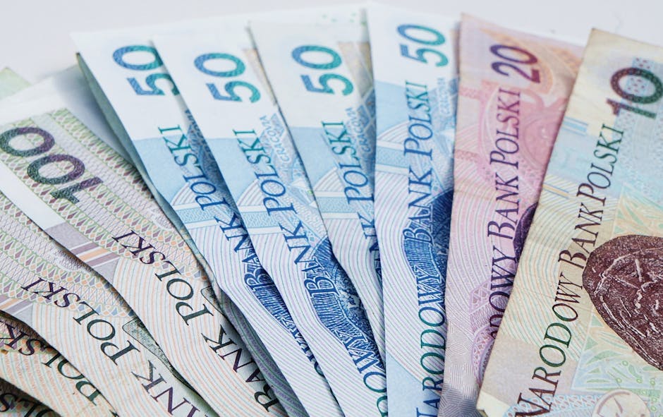 Ministerul Economiei ia în calcul restructurarea companiilor de stat: ce firme sunt vizate?