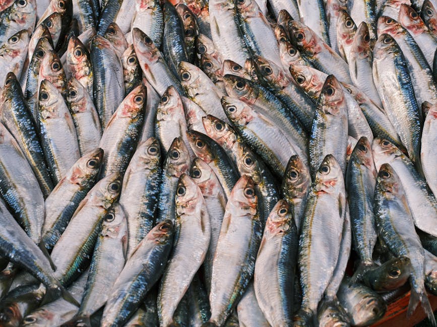 Sardinele: vedetele culinare ale tinerilor pe rețelele sociale