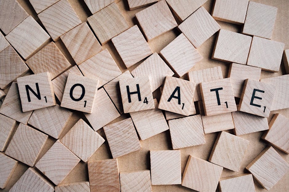 Inițiativa româncei care combate ură online: Oprirea hate-ului în mediul digital