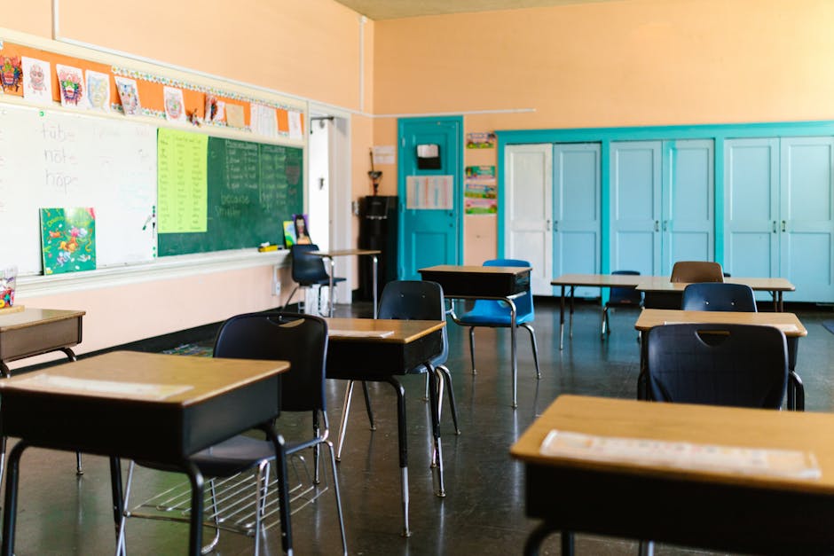 Decizii importante la International Education din Constanța: un nou punct de lucru și schimbări în activitate