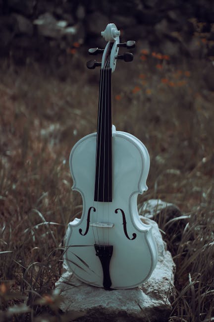 Răzvan Stoica, privilegiat să cânte pe vioara Stradivarius 1729 „Ex Ernst”