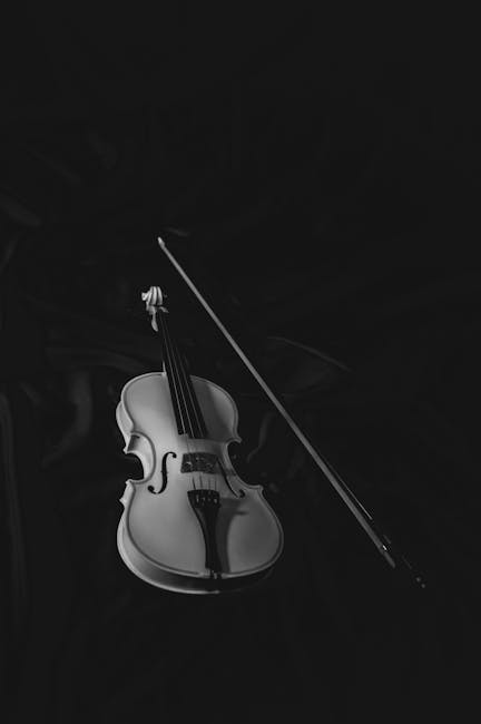Răzvan Stoica aduce vioara Stradivarius de 10 milioane de euro pe scena din Satu Mare