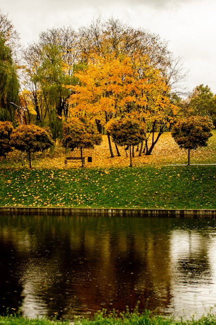 Un reportaj poetic despre natura și sufletul românesc