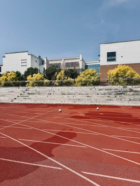 Investiție de aproape un milion de lei pentru terenuri de sport moderne la Oradea