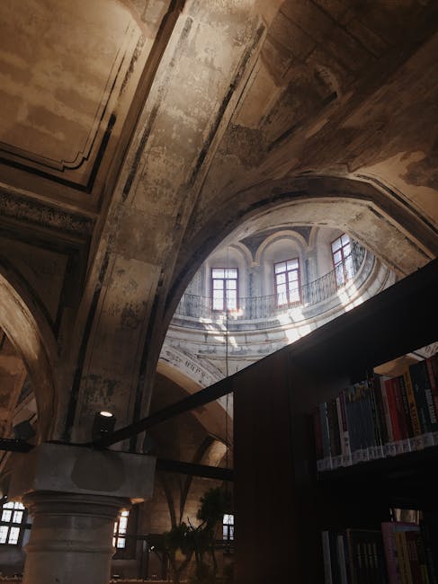 Controverse privind starea Bibliotecii Județene: Simonis răspunde acuzațiilor primarului Fritz
