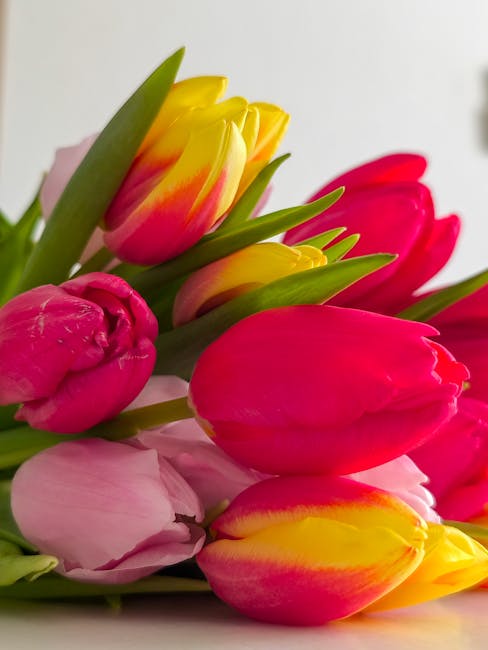 Sărbătorește primăvara cu bucurii la Florăria Dolce Emozione