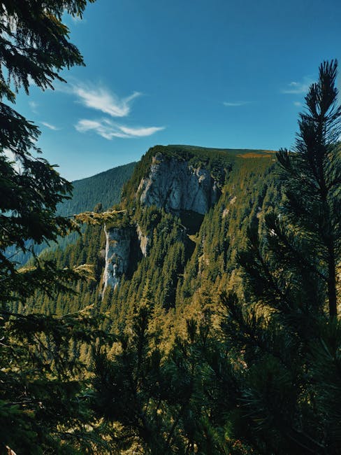 Descoperă panorama impresionantă dintre Bicaz și Țibleș