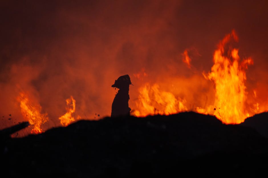 Incendii devastatoare în comuna Dumitrești: sute de hectare afectate