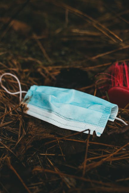 Focar de infecție în Ploiești: gunoaie și șobolani amenință sănătatea publică