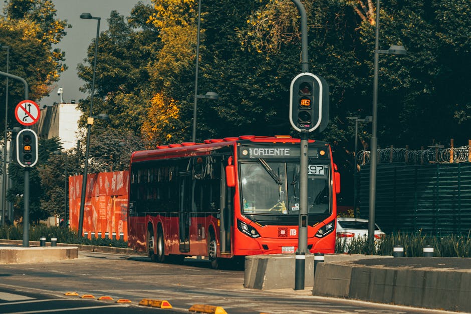 Atenție, călători! Întârzieri pe traseele CT BUS 101 și 42 din cauza traficului